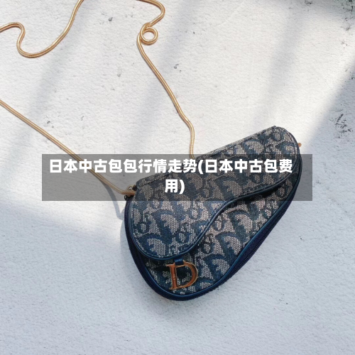 日本中古包包行情走势(日本中古包费用)