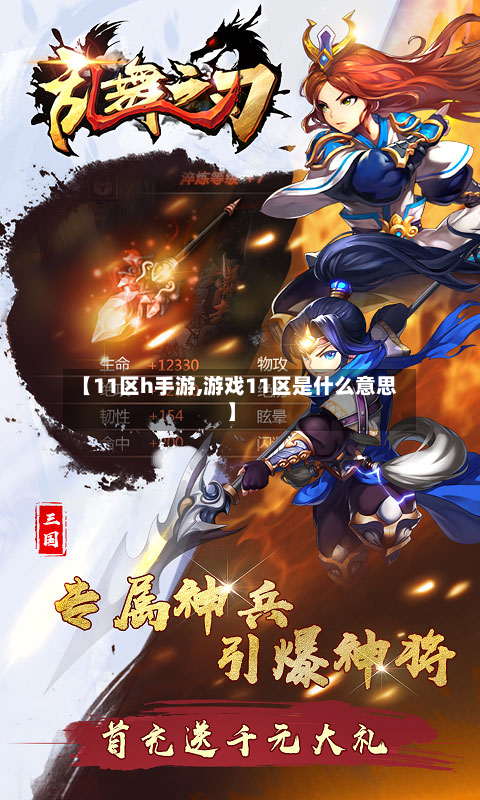 【11区h手游,游戏11区是什么意思】-第2张图片
