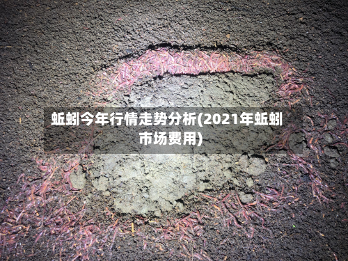 蚯蚓今年行情走势分析(2021年蚯蚓市场费用)