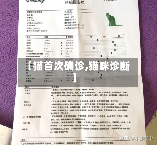 【猫首次确诊,猫咪诊断】