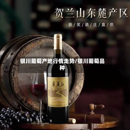银川葡萄产地行情走势/银川葡萄品种-第2张图片