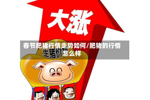 春节肥猪行情走势如何/肥猪的行情怎么样-第3张图片