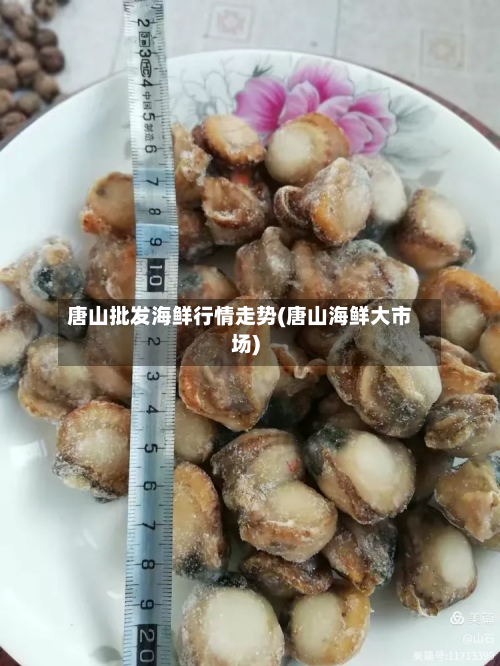 唐山批发海鲜行情走势(唐山海鲜大市场)