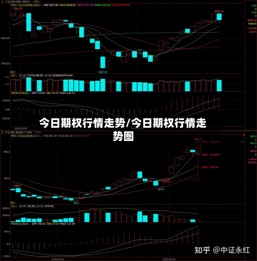 今日期权行情走势/今日期权行情走势图