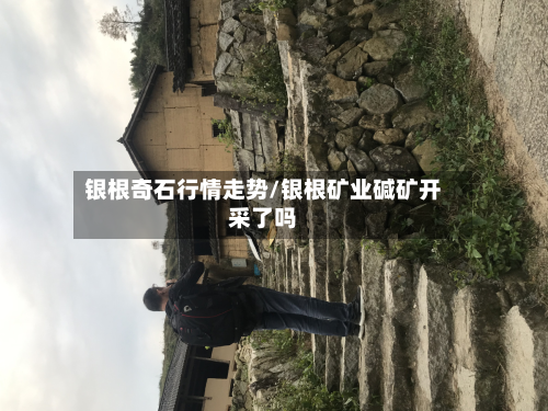 银根奇石行情走势/银根矿业碱矿开采了吗