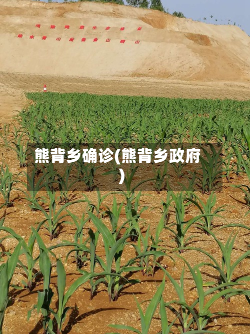 熊背乡确诊(熊背乡政府)