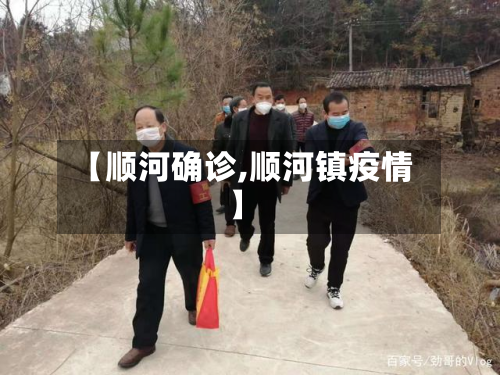 【顺河确诊,顺河镇疫情】-第2张图片