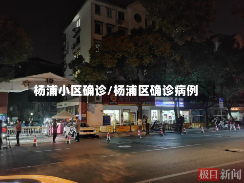 杨浦小区确诊/杨浦区确诊病例-第3张图片