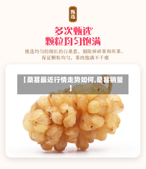 【桑葚最近行情走势如何,桑葚销量】-第2张图片