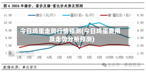 今日鸡蛋走势行情预测(今日鸡蛋费用及走势分析预测)