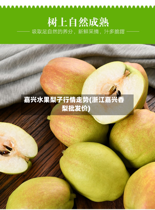嘉兴水果梨子行情走势(浙江嘉兴香梨批发价)-第2张图片