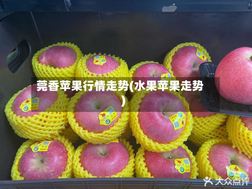 莞香苹果行情走势(水果苹果走势)
