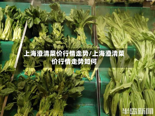 上海澄清菜价行情走势/上海澄清菜价行情走势如何