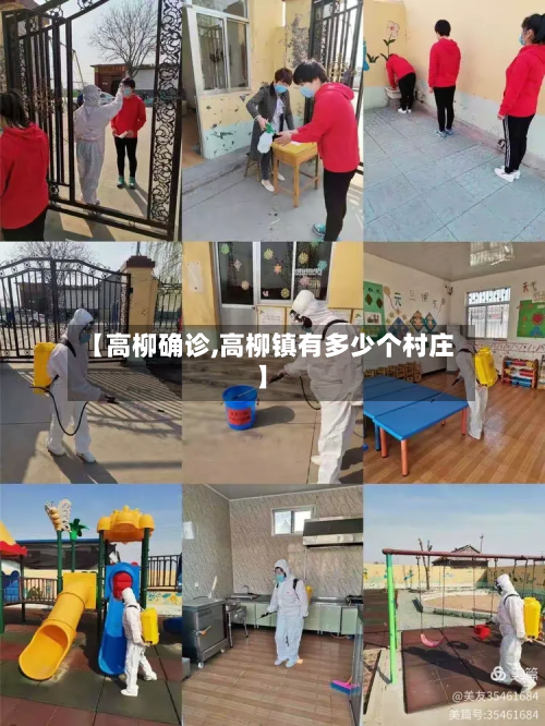 【高柳确诊,高柳镇有多少个村庄】