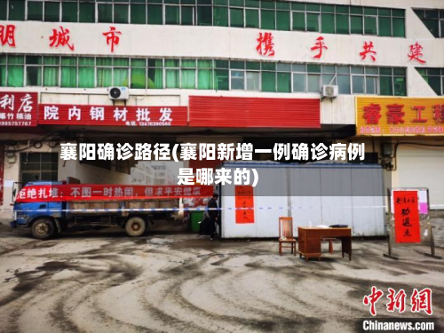 襄阳确诊路径(襄阳新增一例确诊病例是哪来的)