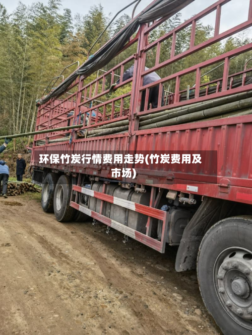 环保竹炭行情费用走势(竹炭费用及市场)