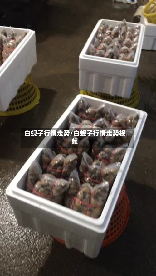 白蚬子行情走势/白蚬子行情走势视频-第2张图片