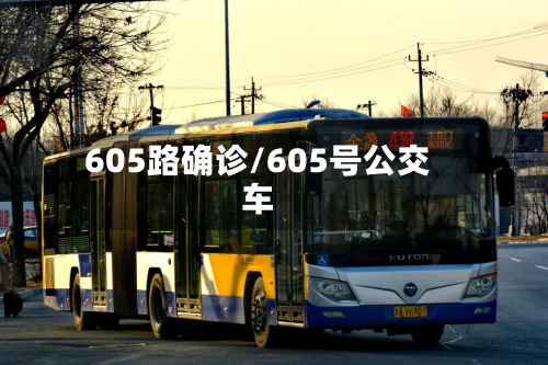 605路确诊/605号公交车