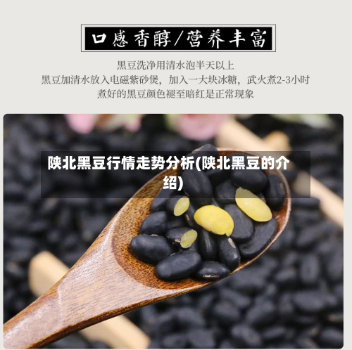 陕北黑豆行情走势分析(陕北黑豆的介绍)