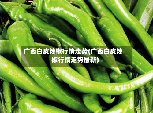 广西白皮辣椒行情走势(广西白皮辣椒行情走势最新)-第1张图片