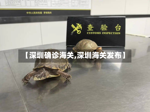 【深圳确诊海关,深圳海关发布】