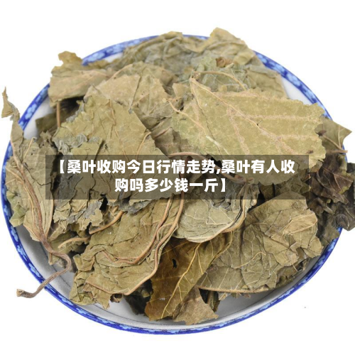 【桑叶收购今日行情走势,桑叶有人收购吗多少钱一斤】