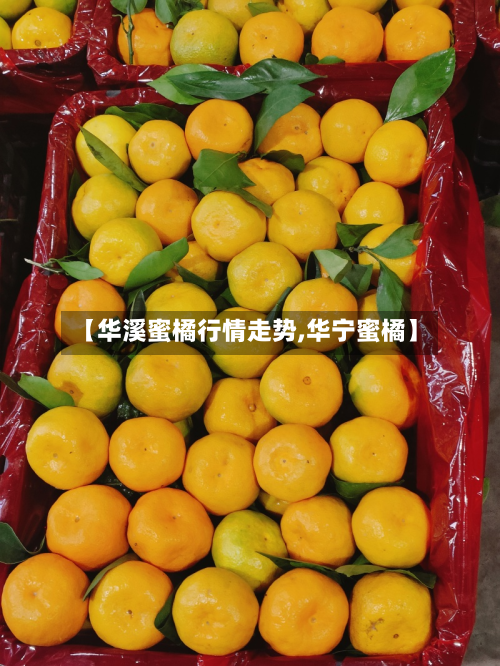 【华溪蜜橘行情走势,华宁蜜橘】-第2张图片