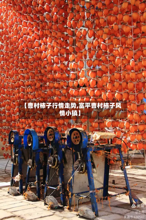 【曹村柿子行情走势,富平曹村柿子风情小镇】